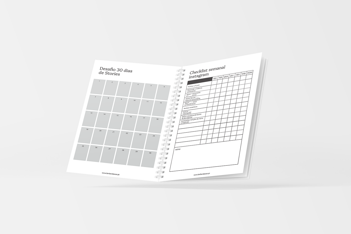 Planner Infinito de Redes Sociais